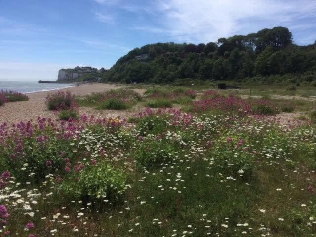 דיל Mariner'S Cottage - On Kingsdown Beach מראה חיצוני תמונה
