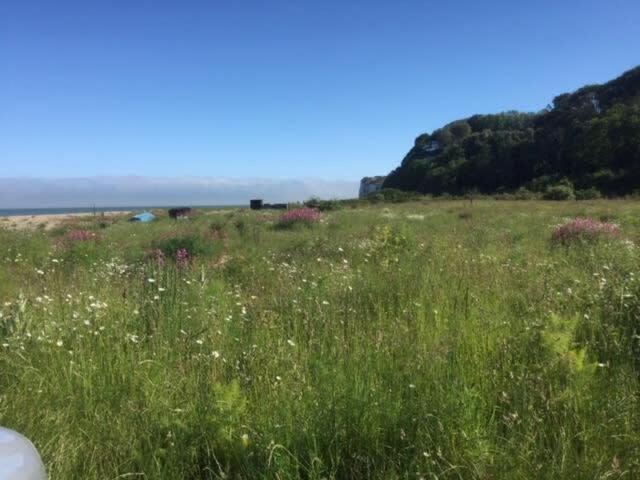 דיל Mariner'S Cottage - On Kingsdown Beach מראה חיצוני תמונה