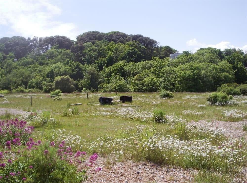 דיל Mariner'S Cottage - On Kingsdown Beach מראה חיצוני תמונה